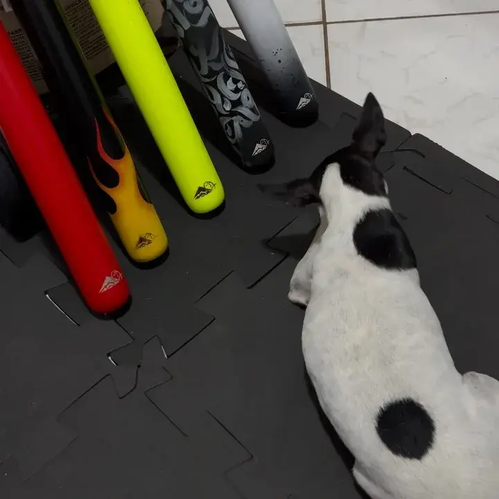 Tacos amarelo, vermelho e preto no chão